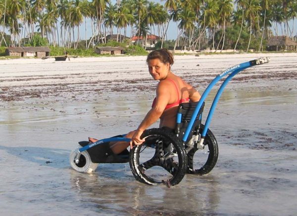 hyppocampe fauteuil de loisir tout terrain